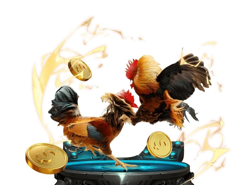 Tổng quan chương trình VIP 100vip